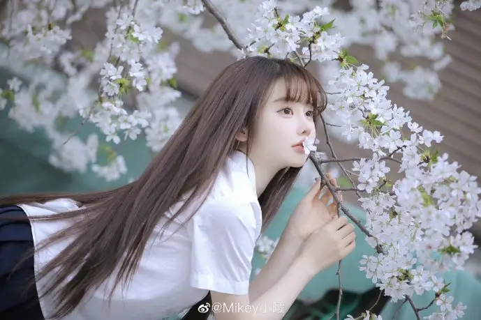 数字盗版产业链示意图